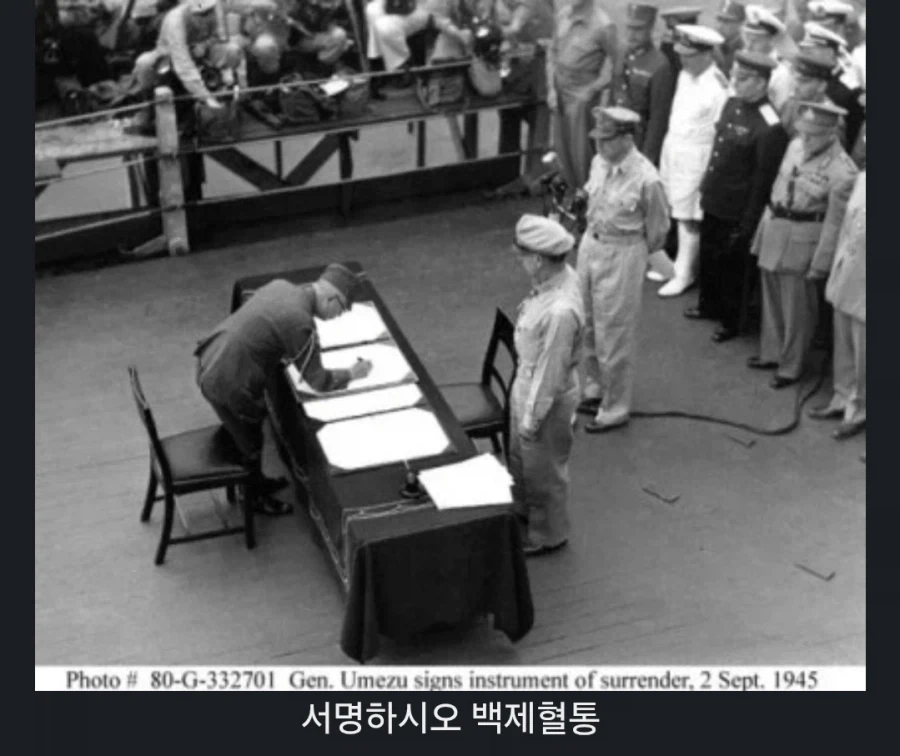 솔직히 고양이 외래종이라고 뭐라 할거면_4.webp