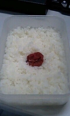 시기별로 이미지가 달라지는 히노마루 벤또_1.webp