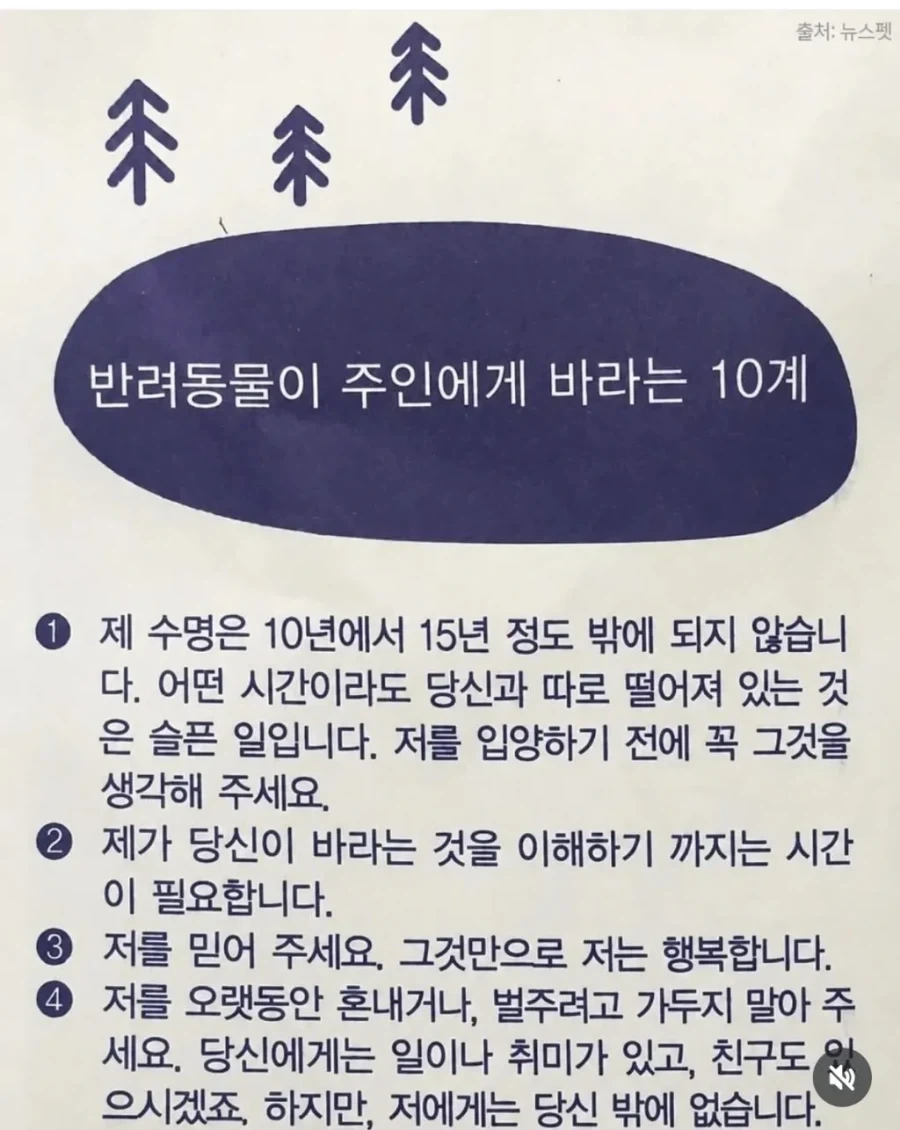 어느 동물 병원의 약봉지_1.webp