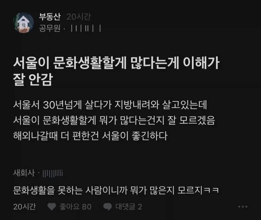 서울에 문화생활할 게 많다는 게 이해 안 되는 사람_1.webp