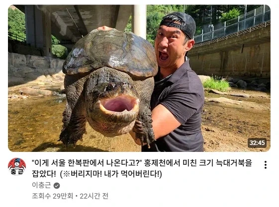 의외로 서울에서 출몰한다는 생물_1.webp