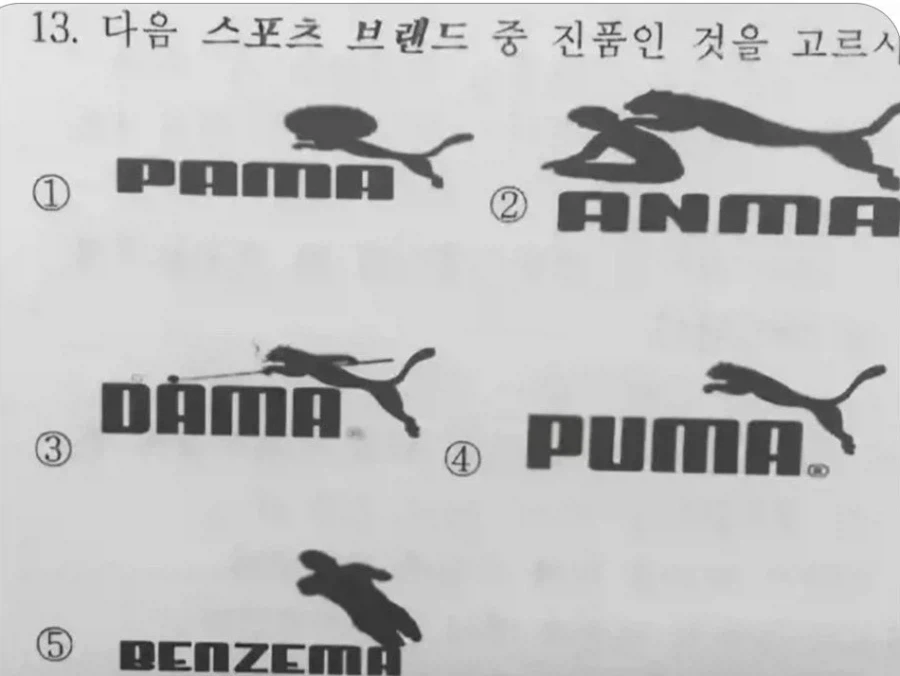 체육선새니의 힘_1.webp