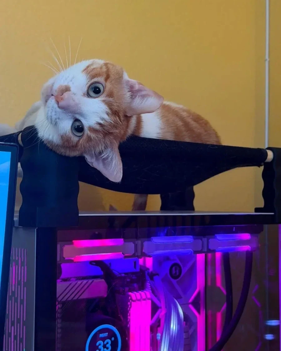 PC 본체에 올라가는 고앵이를 위한_2.webp