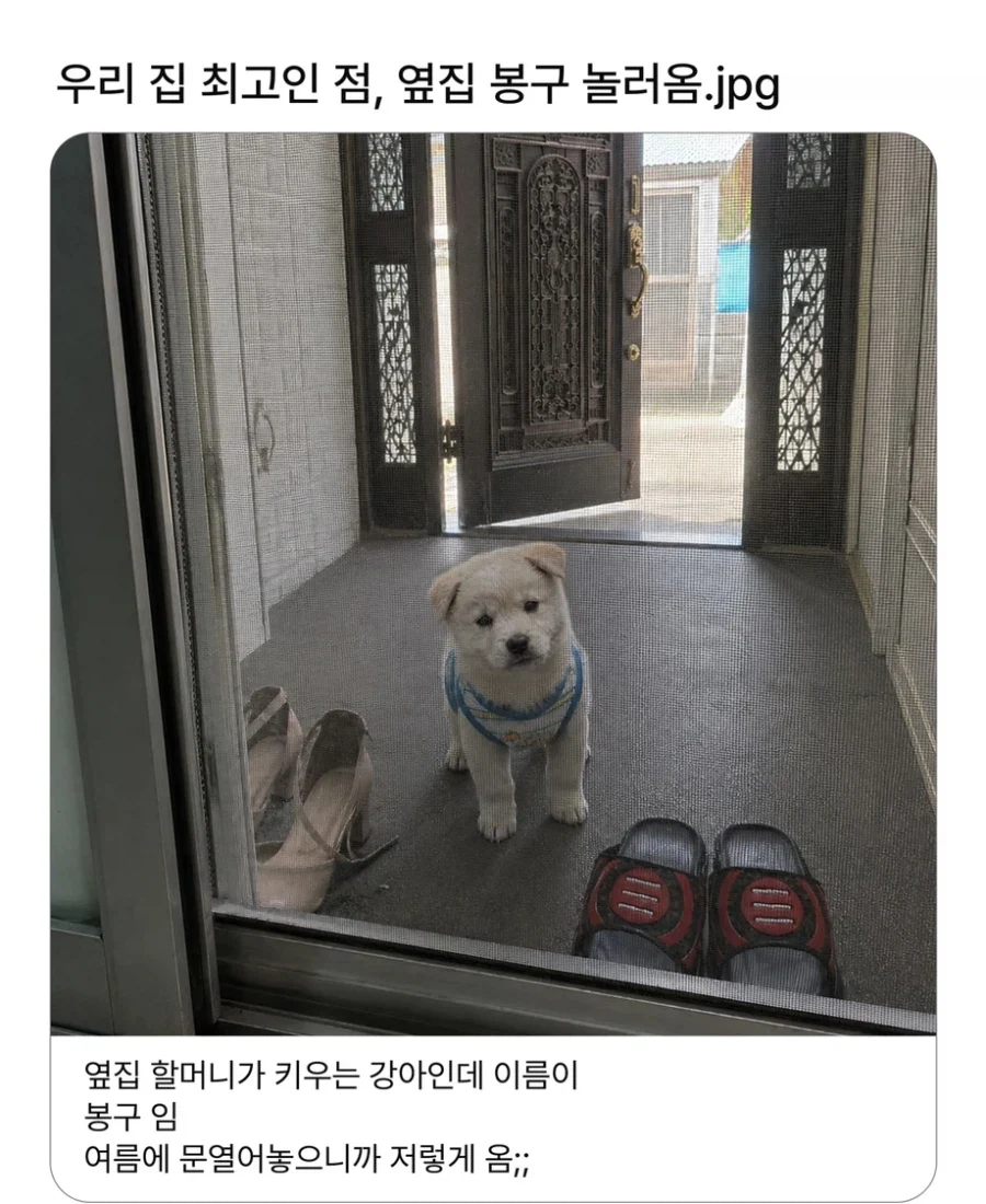 우리집 최고인 점_1.webp