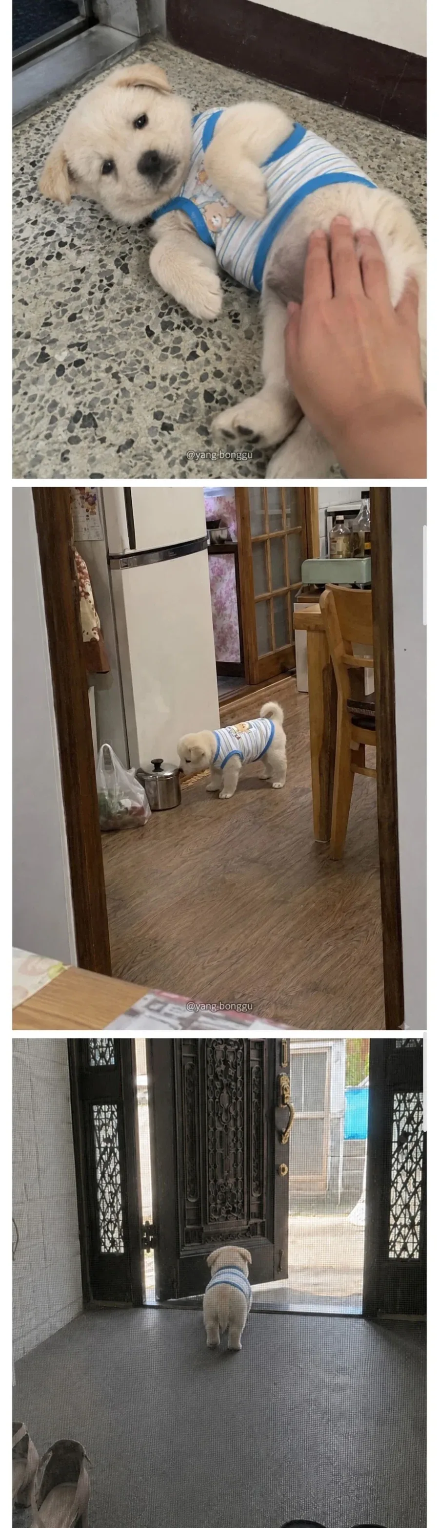 우리집 최고인 점_2.webp