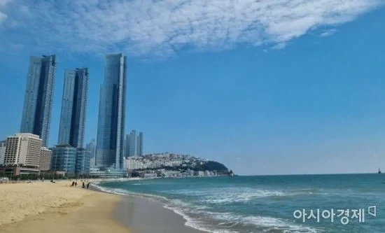 진짜로 부산에 환장하는 외국인 있음_2.webp