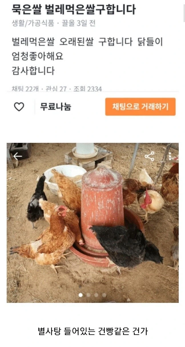 묵은 쌀, 벌레먹은 쌀 구합니다.jpg_1.webp