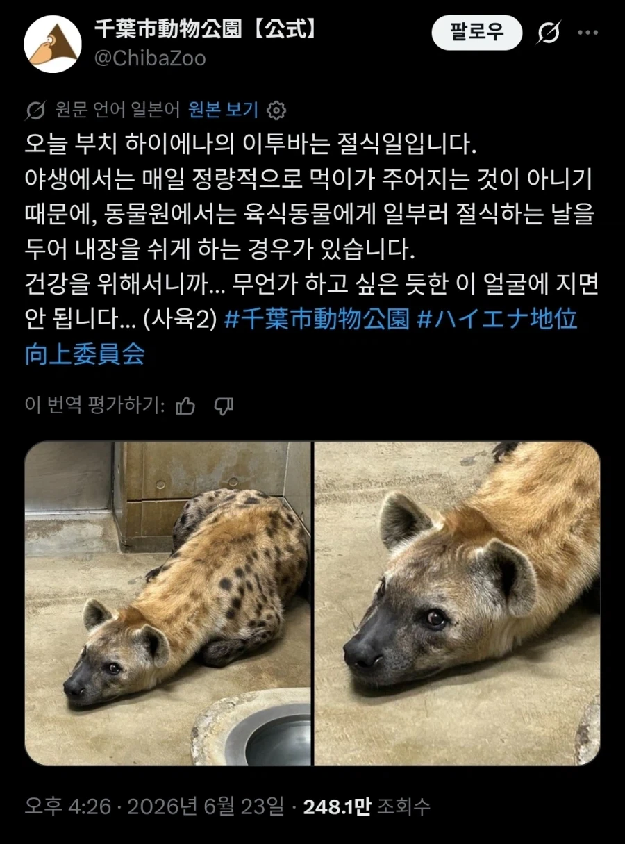 동물원의 야생성 유지를 위해 절식하는 날_1.webp