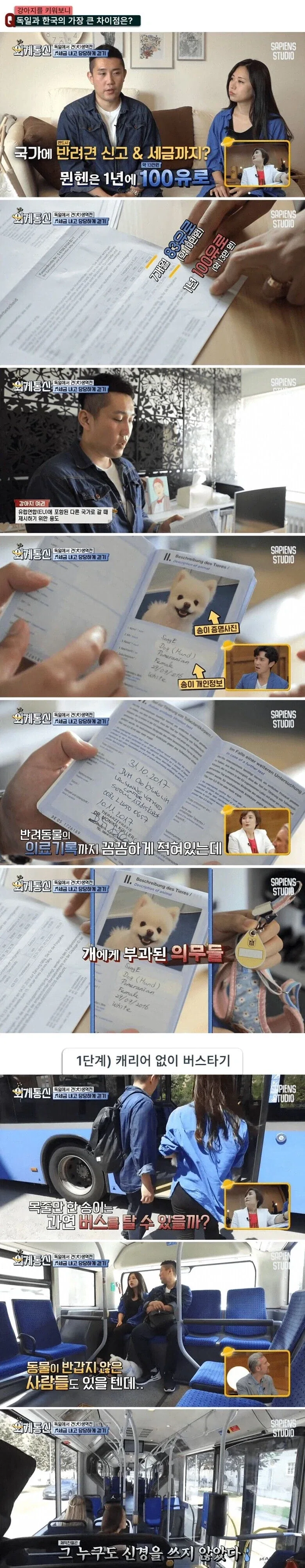 독일의 반려견 문화_1.webp