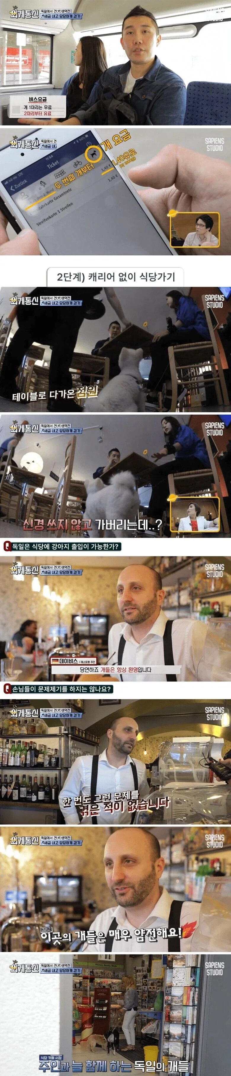 독일의 반려견 문화_2.webp