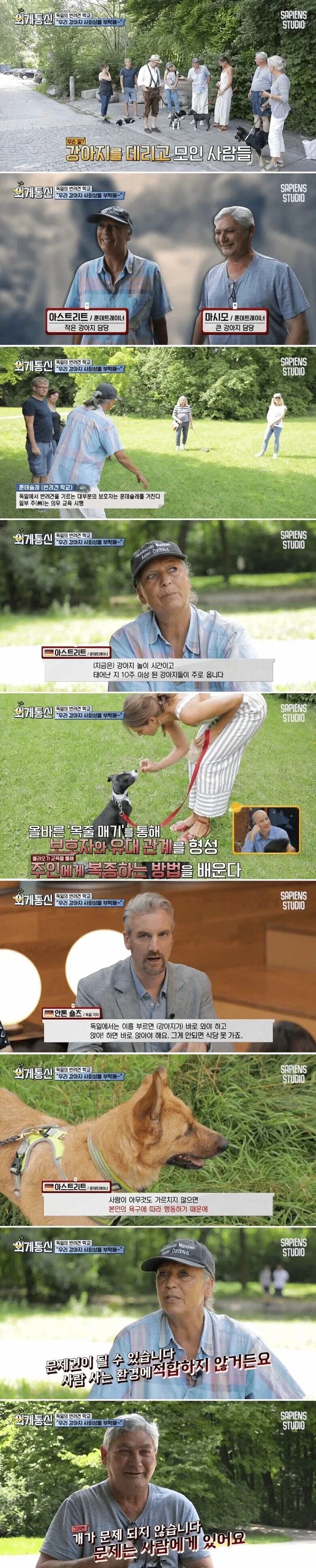 독일의 반려견 문화_3.webp