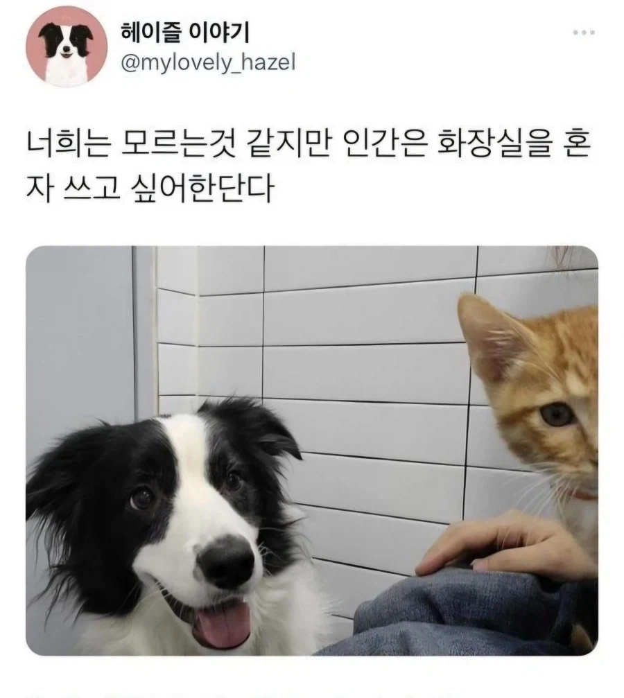 주인님 똥싼당_1.webp