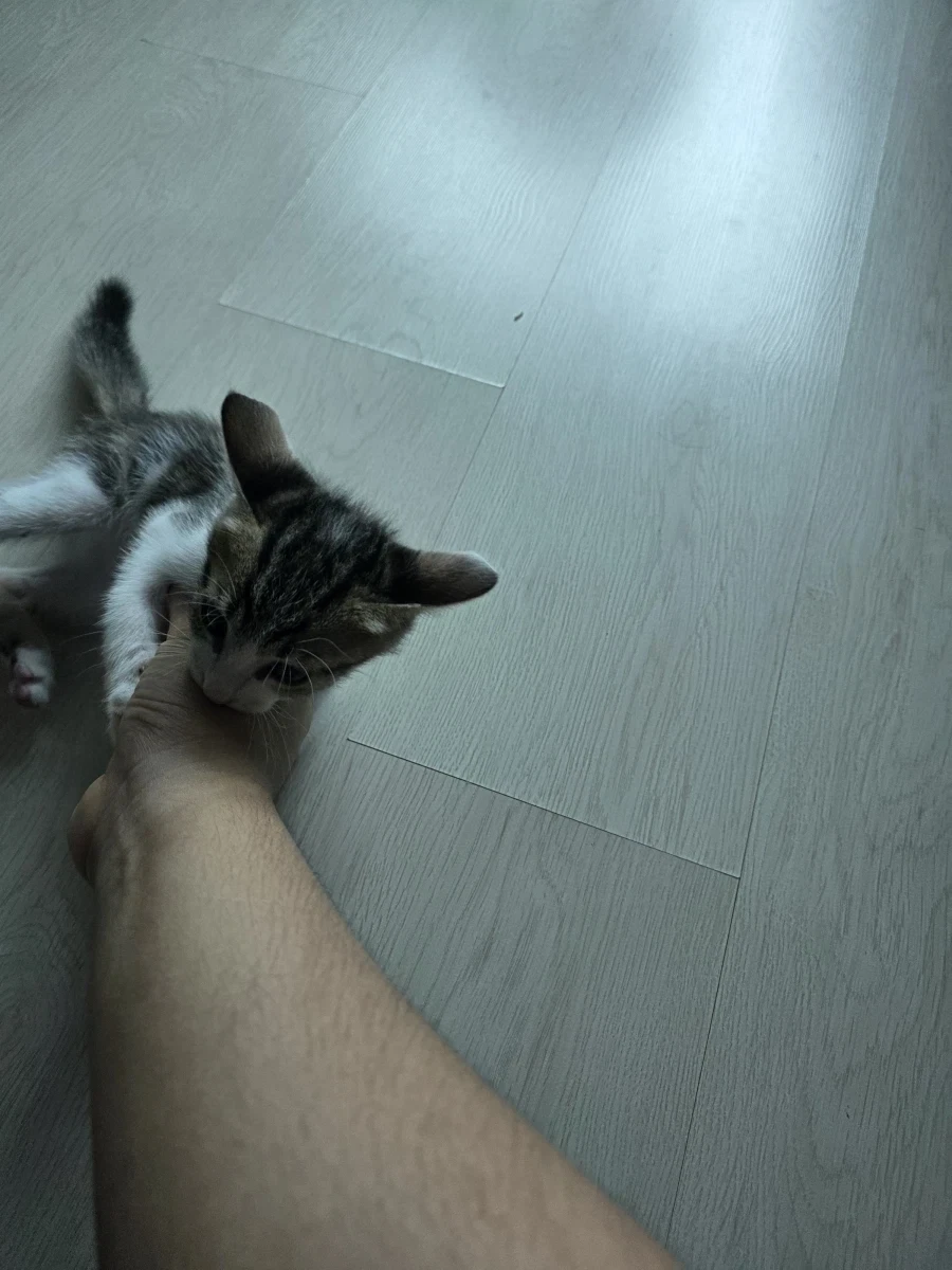 애가 너무 얌전해졌어_6.webp