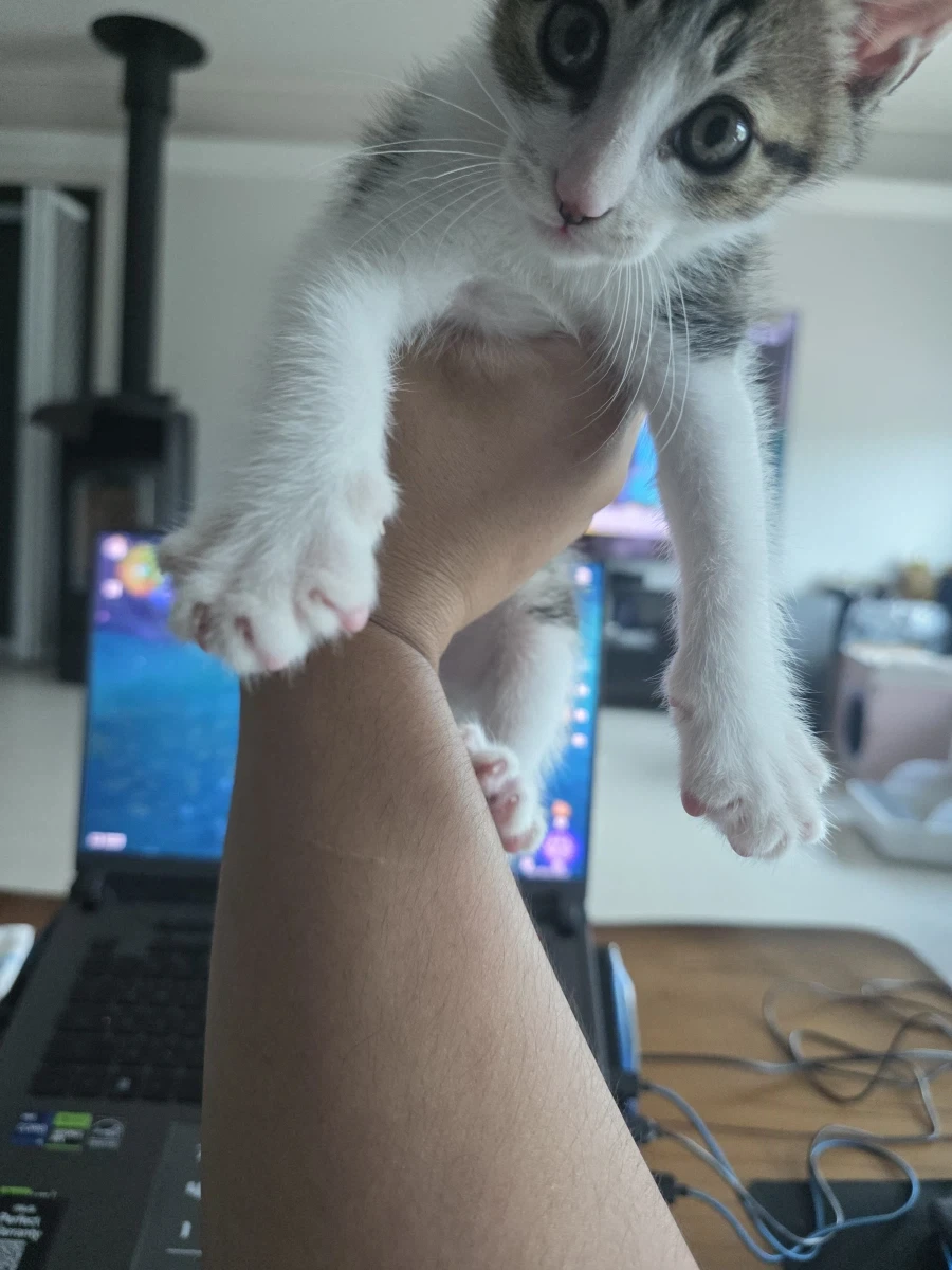 애가 너무 얌전해졌어_7.webp