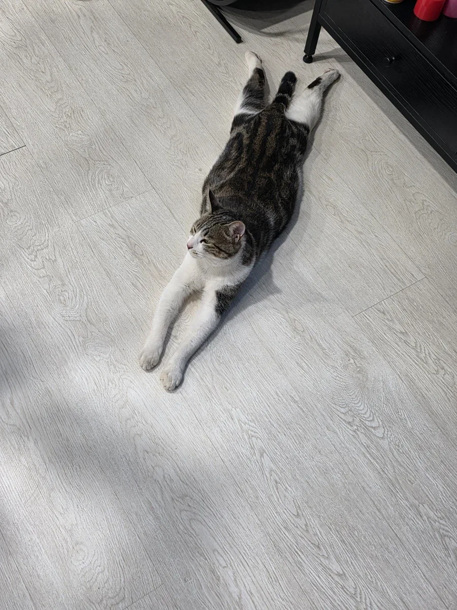 애가 너무 얌전해졌어_17.webp