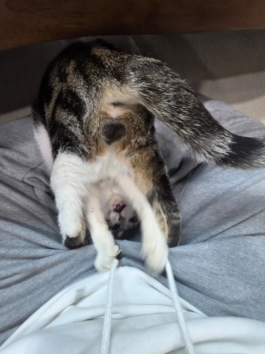애가 너무 얌전해졌어_19.webp