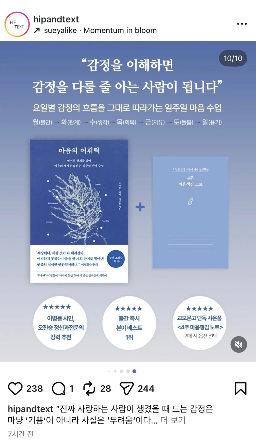 한자 교육이 부활한다고?_4.webp