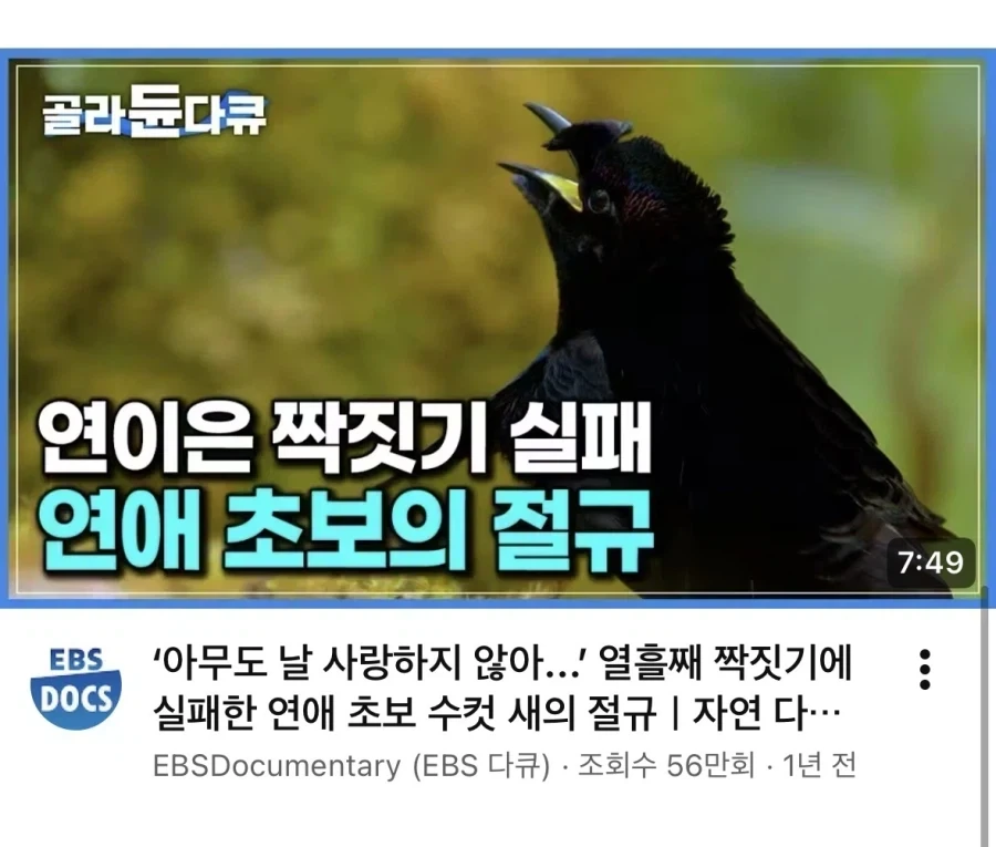 연애 초보의 절규.jpg_1.webp