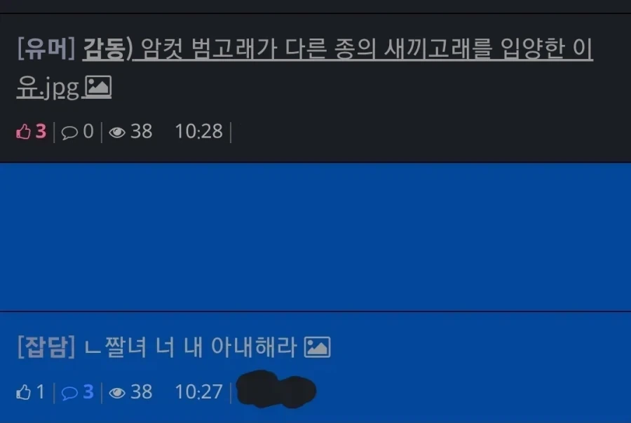 짤녀 너 내 아내해라!_2.webp