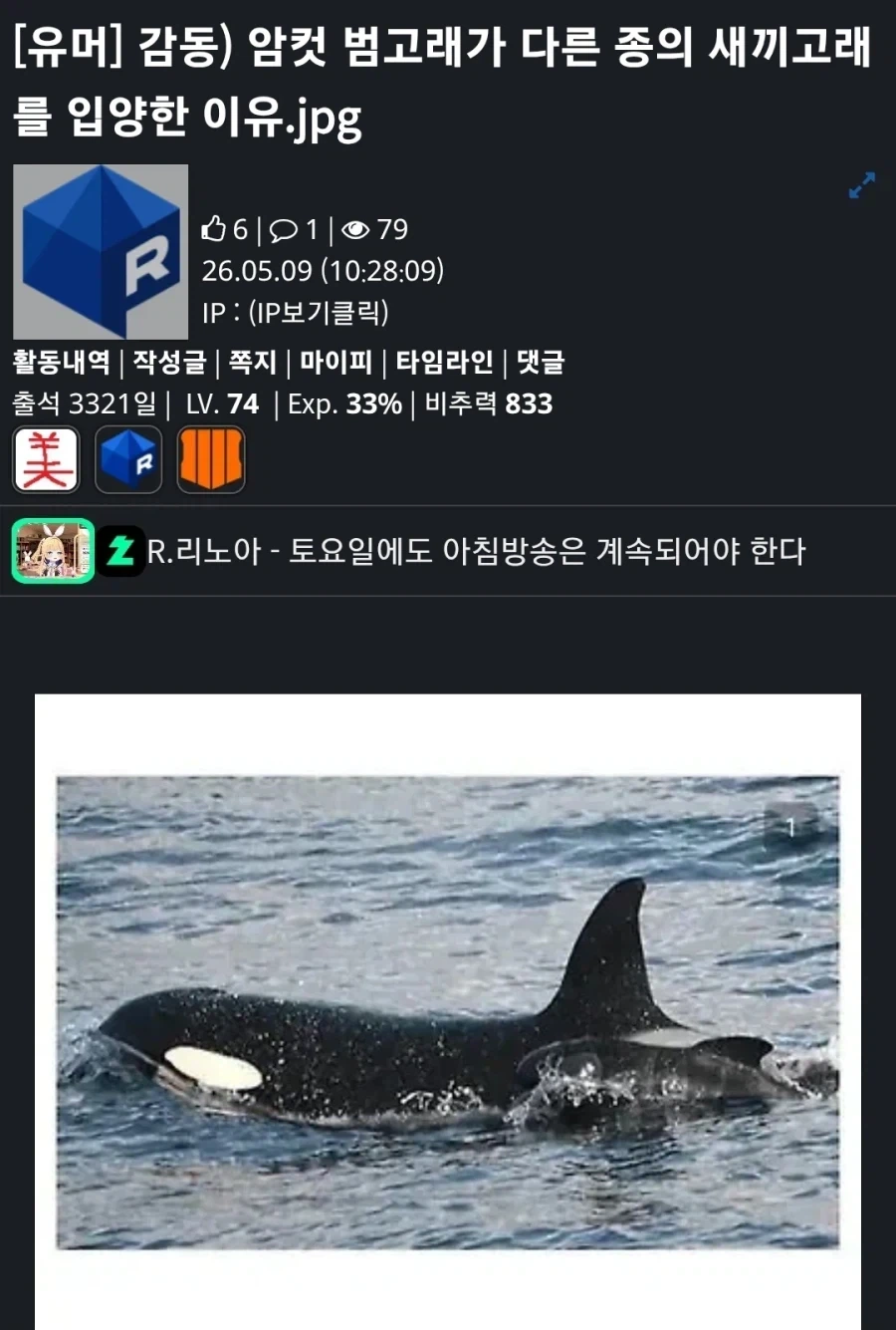 짤녀 너 내 아내해라!_3.webp