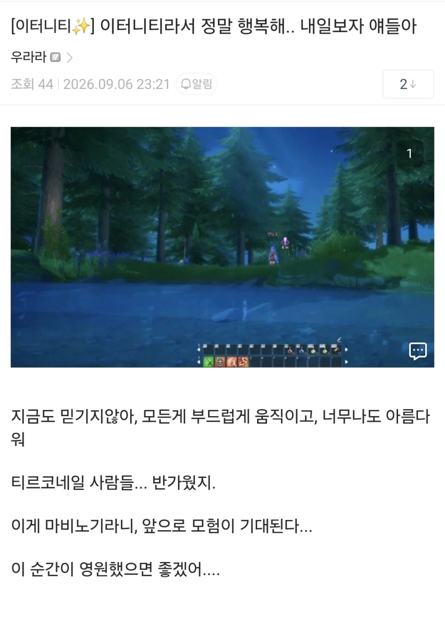꿈이 끝나가는 마비노기 이터니티.jpg_3.webp