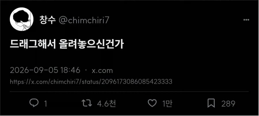 위풍당당 고양이_3.webp