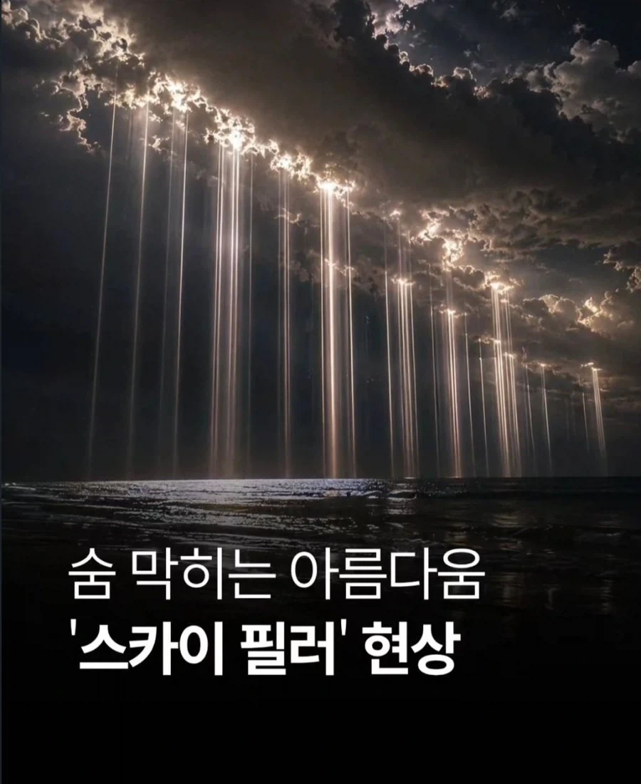 님들 조때씀_1.webp