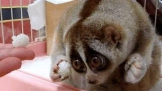 조보아씨.jpg_1.webp