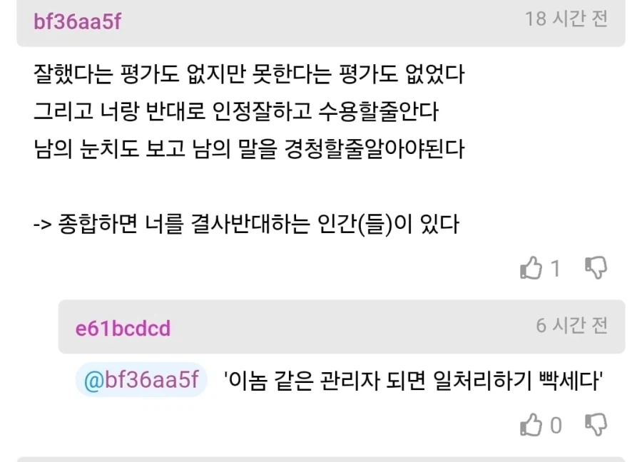 차장 진급에 떨어진 사람의 분노.jpg_8.webp