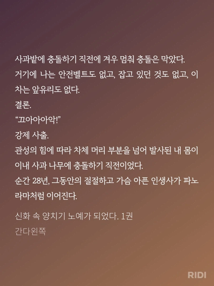 웹소 주인공의 환생 사유 레전드_9.webp