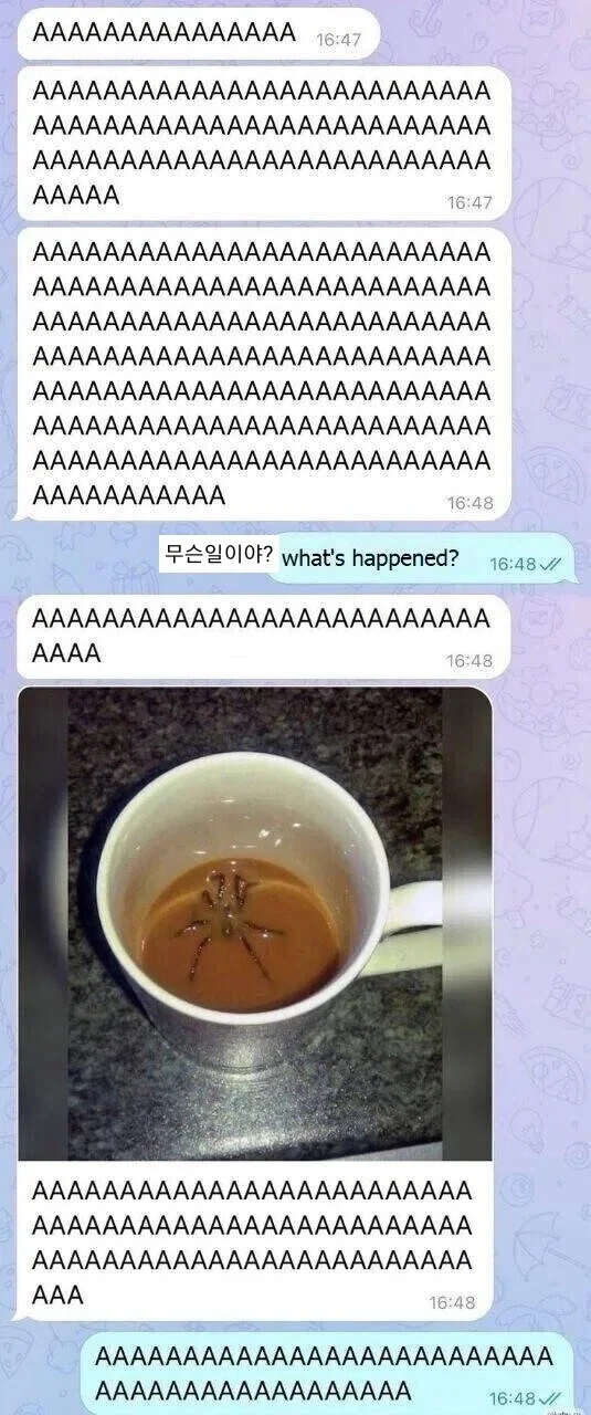 AAAAAAAAAAAAAAAAAAAAAAAAAAAAA_1.webp