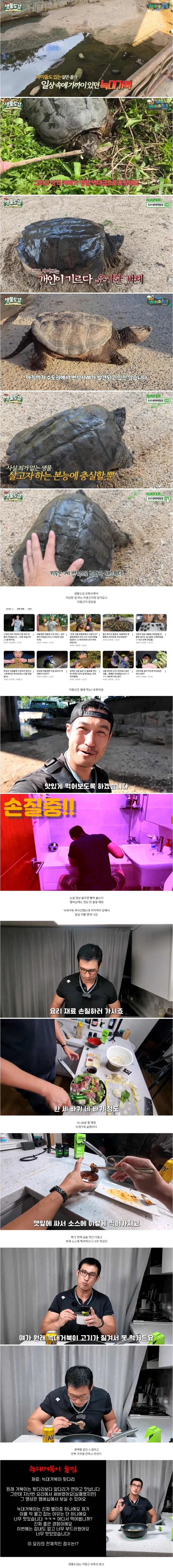 꼬부기 고기 먹는 충근씨_1.webp