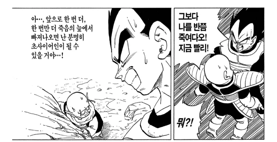 드래곤볼) 베지터의 완벽한 계획_1.webp