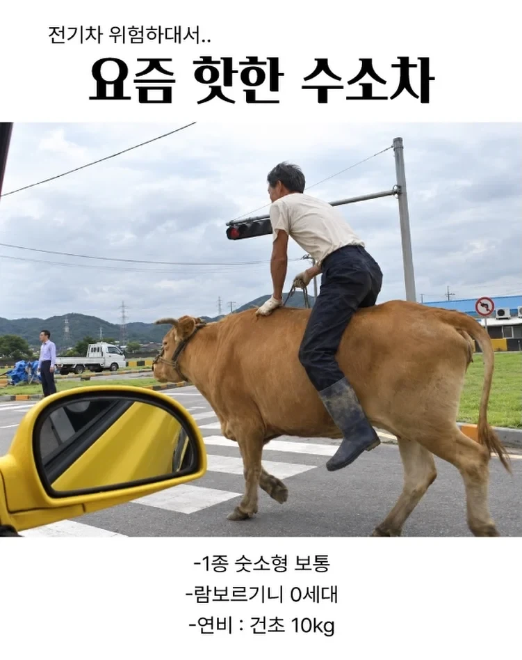 전기차는 화재 위험 있대서 수소차 뽑음 ㅎㅎㅎ_1.webp