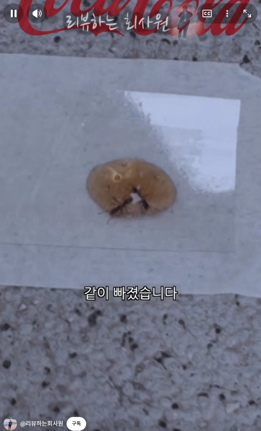 둘이 먹다가 하나가 죽는다고 하는 코카콜라.jpg_9.webp