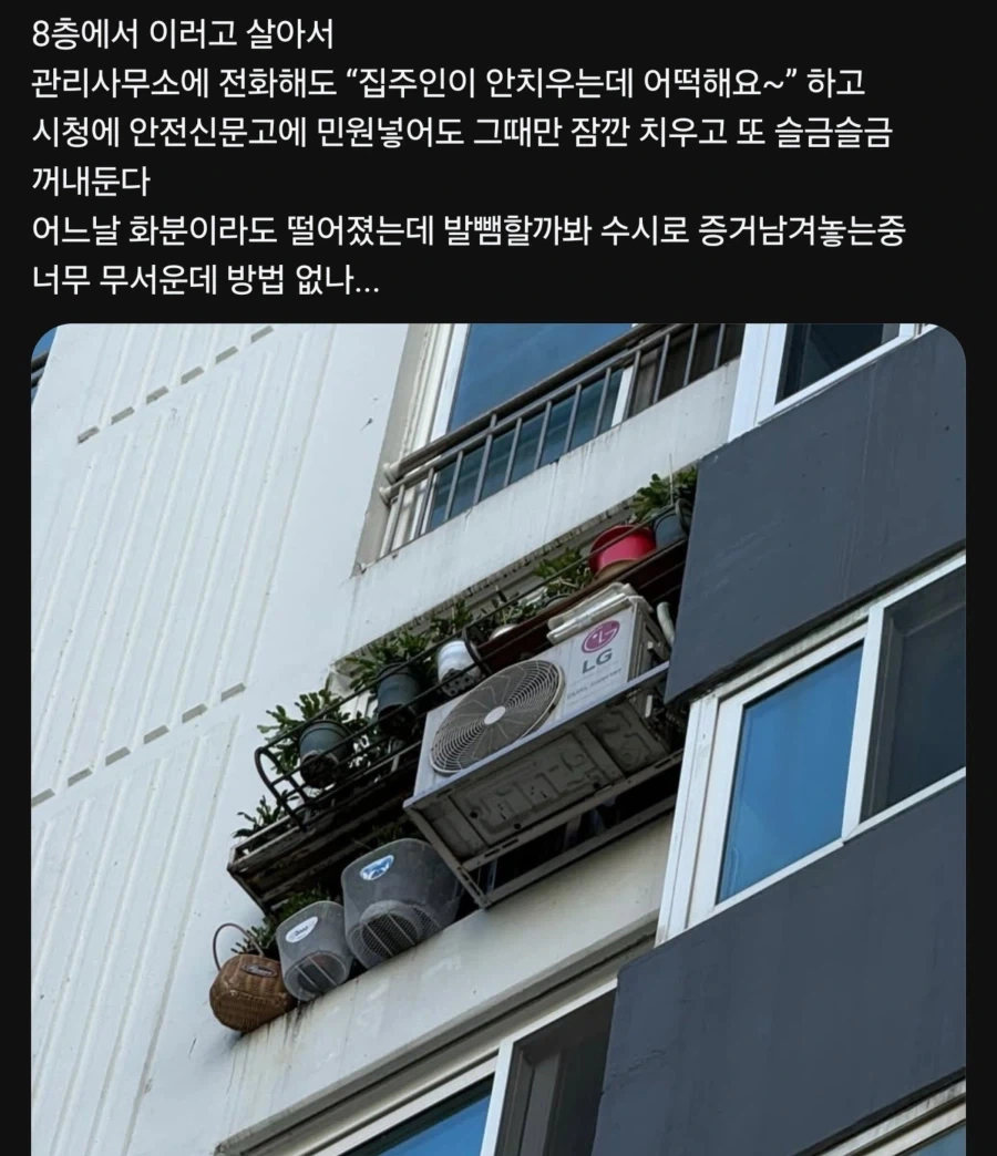 아파트에서 식물 키우기_1.webp