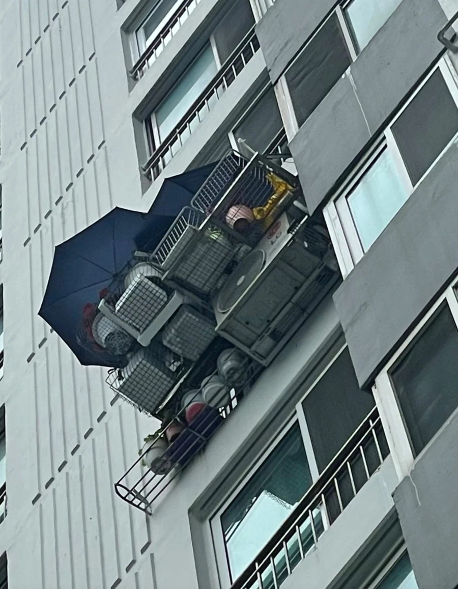 아파트에서 식물 키우기_2.webp