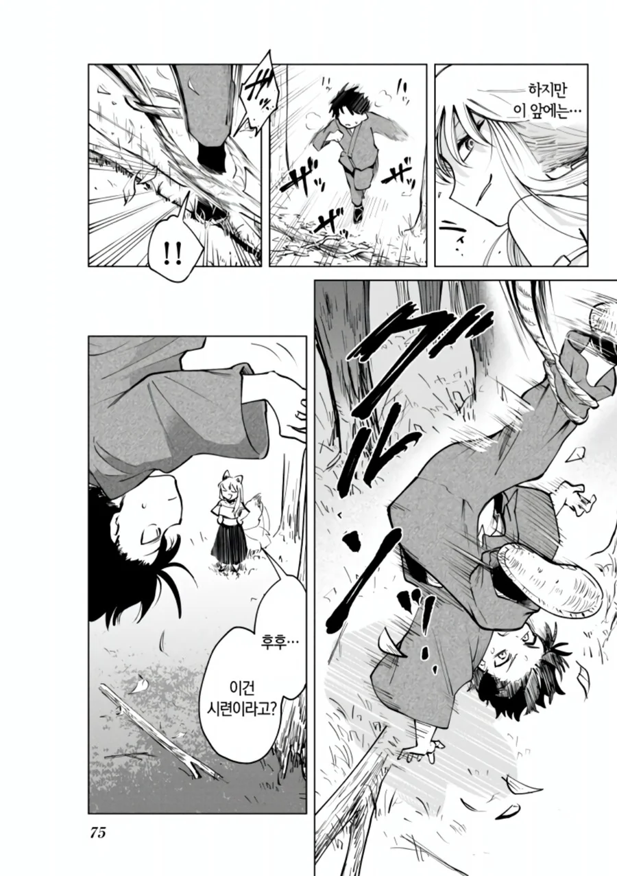 manga_2972620_013.webp