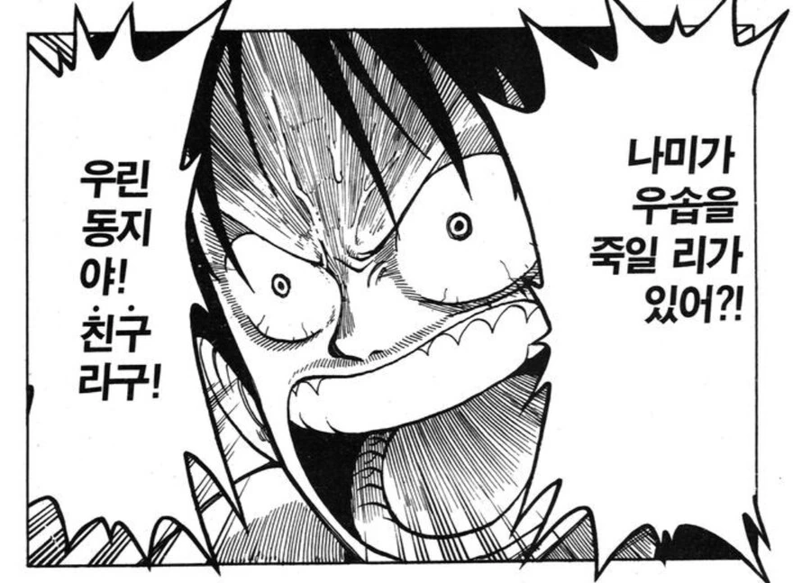 원피스) 루피가 나미한테 통수 맞았을때 배신이라 생각 안한 이유_11.jpg