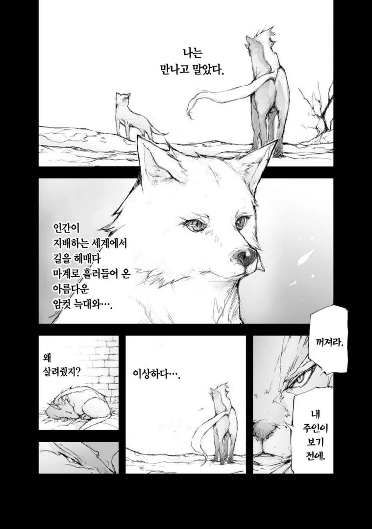 manga_668917_002.webp