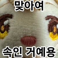 님드라 이거 정말 한국에서 대인기 맞아??_2.png