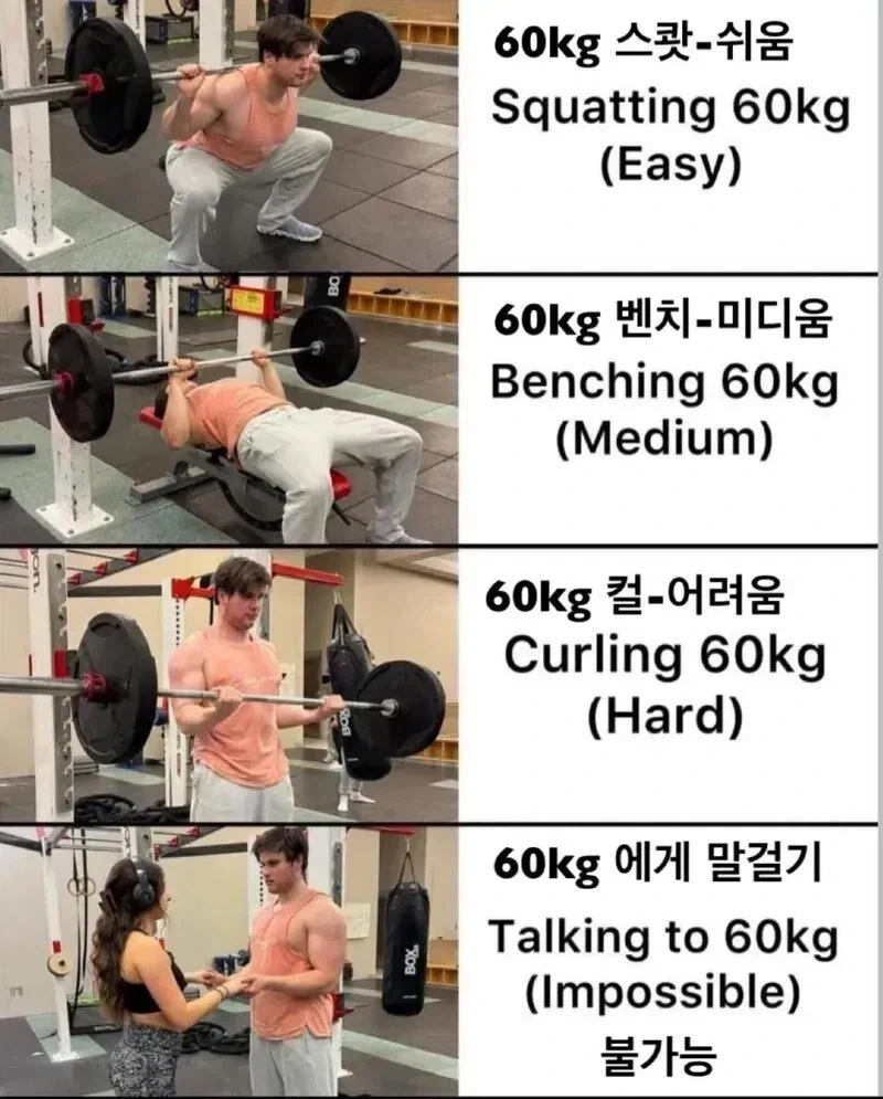 헬스 운동별 60kg 중량 체감_1.webp