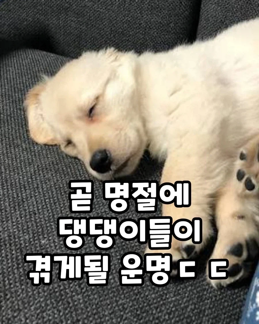 명절이 되면 가장 고생하는 분들_1.webp