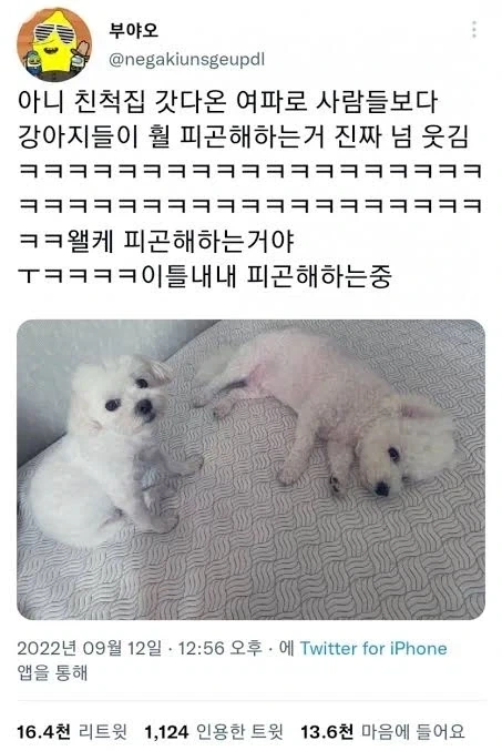 명절이 되면 가장 고생하는 분들_3.webp