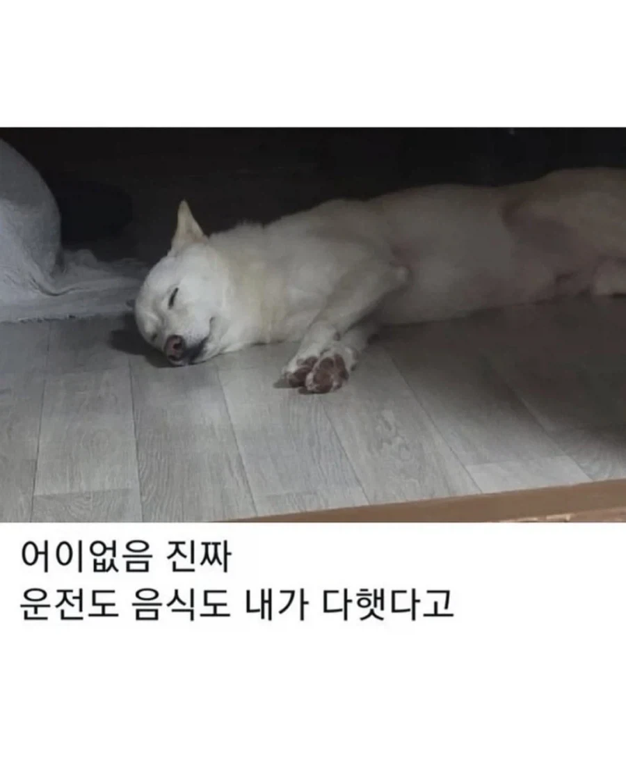 명절이 되면 가장 고생하는 분들_5.webp