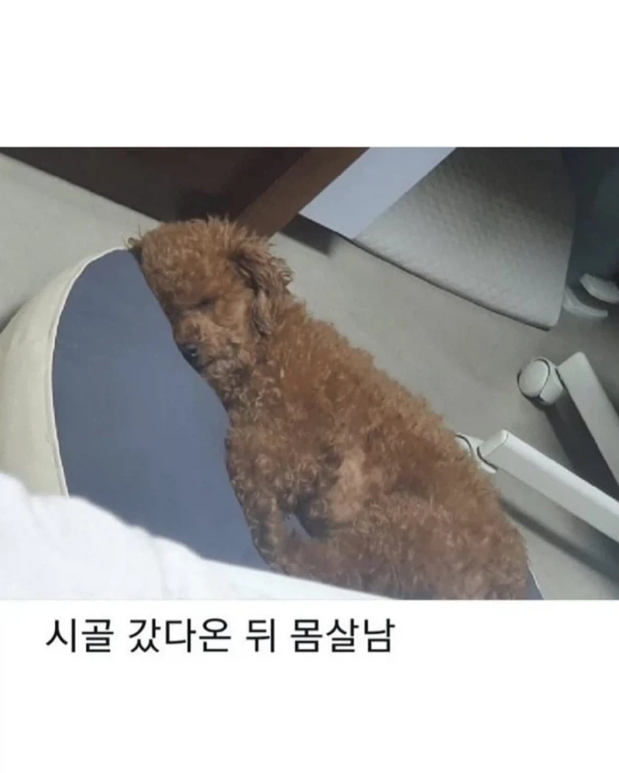 명절이 되면 가장 고생하는 분들_6.webp