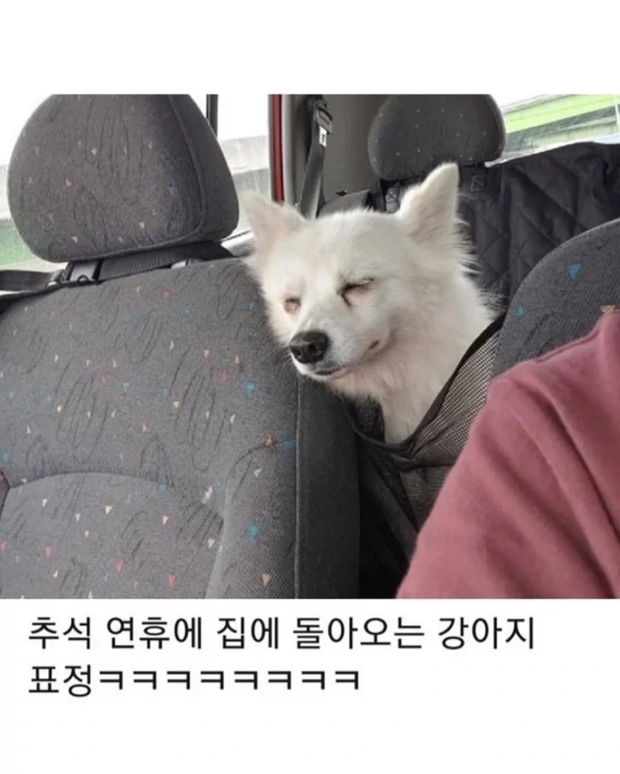 명절이 되면 가장 고생하는 분들_7.webp