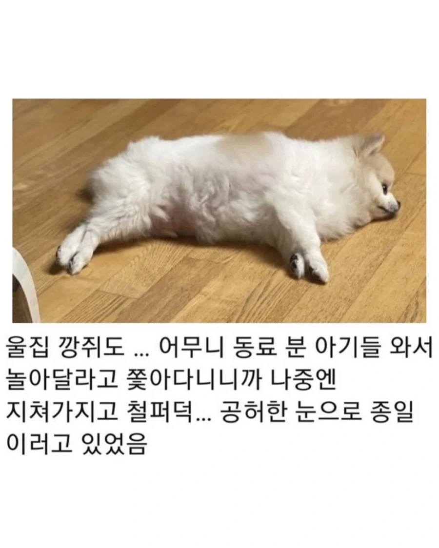 명절이 되면 가장 고생하는 분들_8.webp