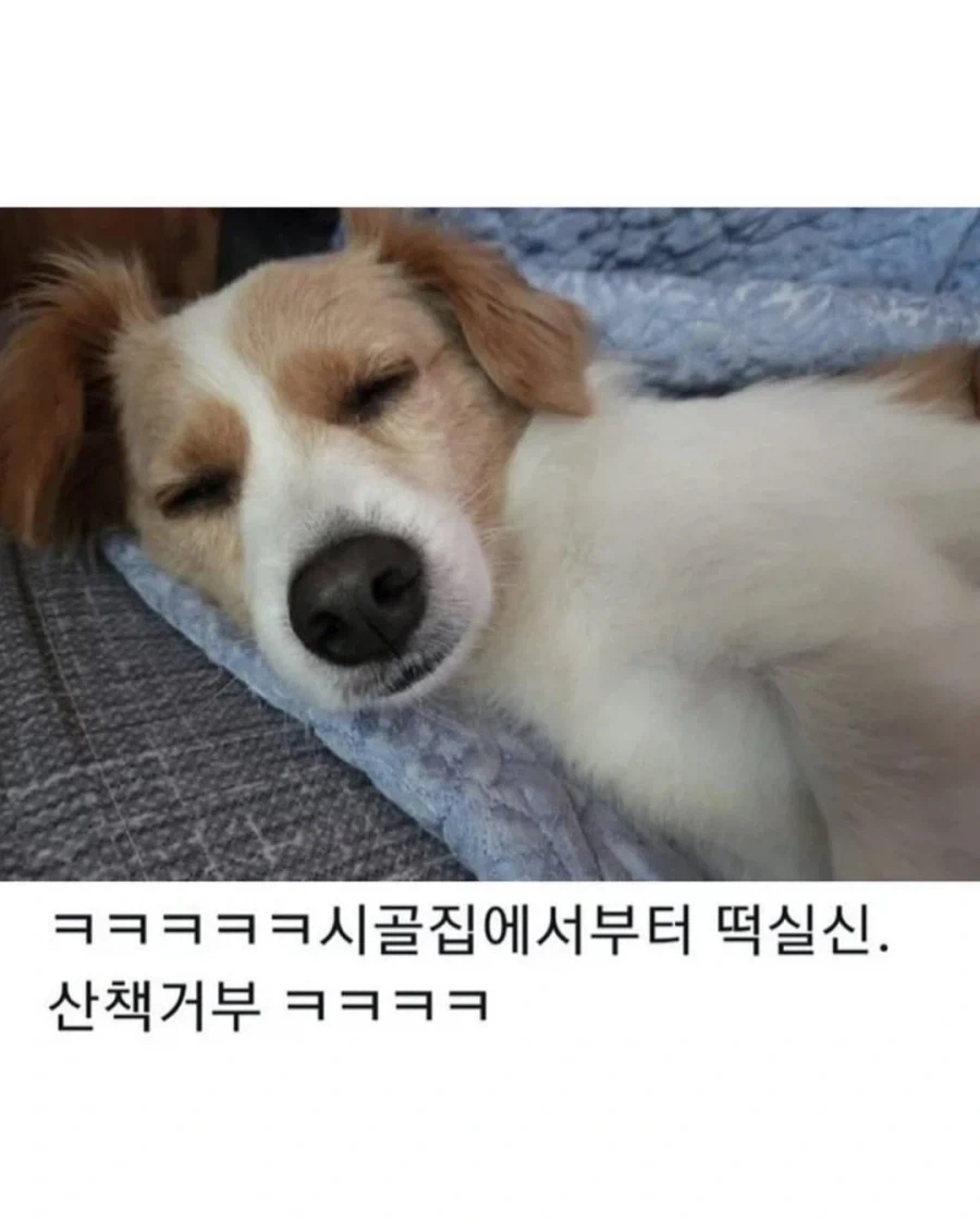명절이 되면 가장 고생하는 분들_9.webp