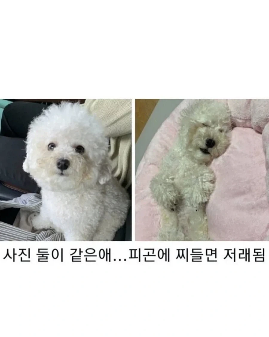명절이 되면 가장 고생하는 분들_10.webp